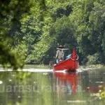 Wisata Mangrove Gunung Anyar